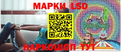прущие грибы Апшеронск