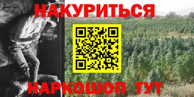 прущие грибы Апшеронск