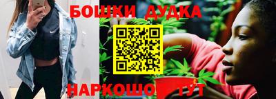 прущие грибы Апшеронск