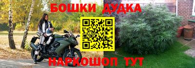 прущие грибы Апшеронск