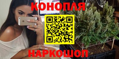 прущие грибы Апшеронск