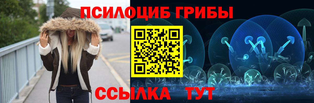 купить наркотики сайты  Вход с VPN  Верхний Уфалей  Галлюциногенные грибы Cubensis 